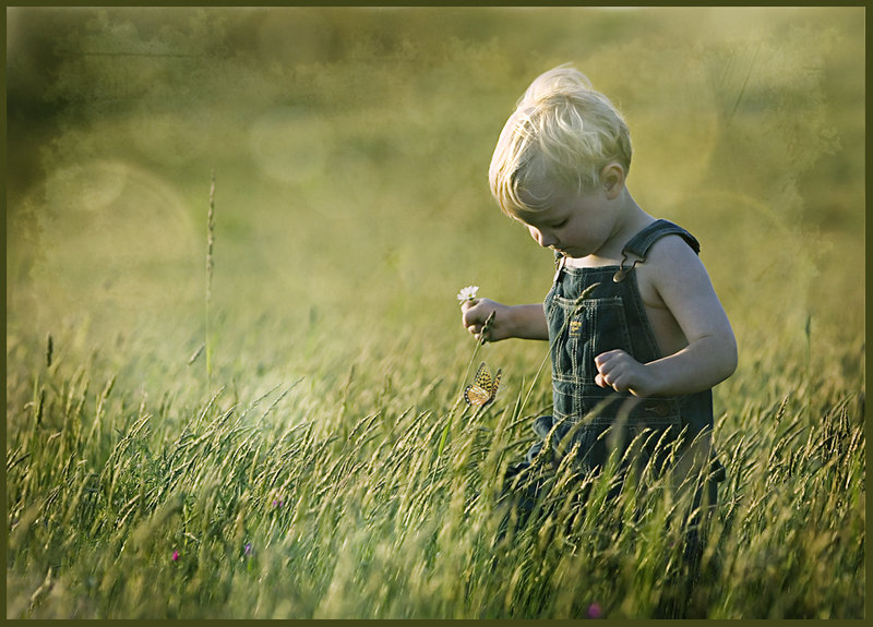 Catching the Butterfly