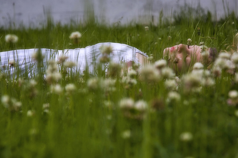 The Backyard Dreamer