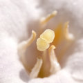 Jun 05 - Inside