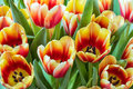 Mar #1 - Spring feeling
