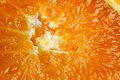 Food 52 - Orange