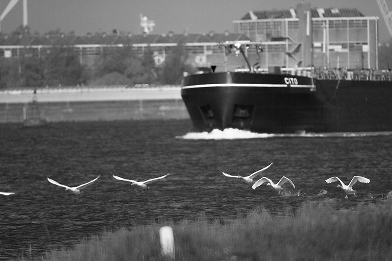 May 18 - Snapshot from the ferry