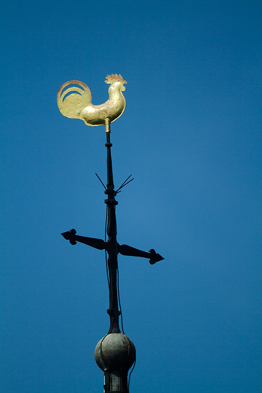 May 24 - Church cock @ 500mm