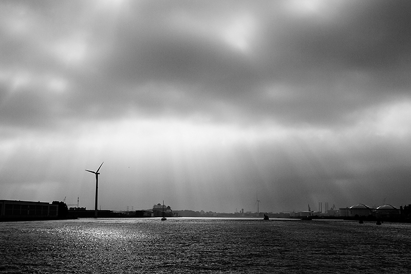 16. Light (Jul 26)