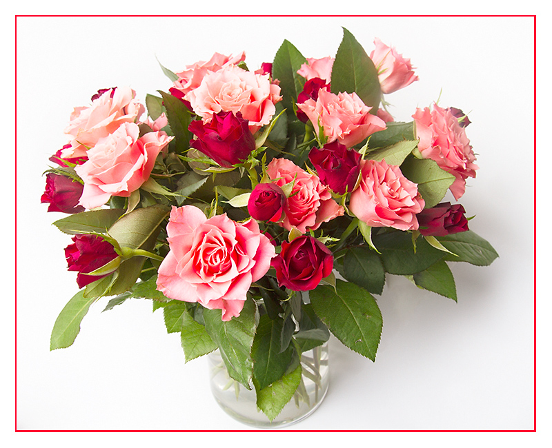 21. Roses (Oct 01)