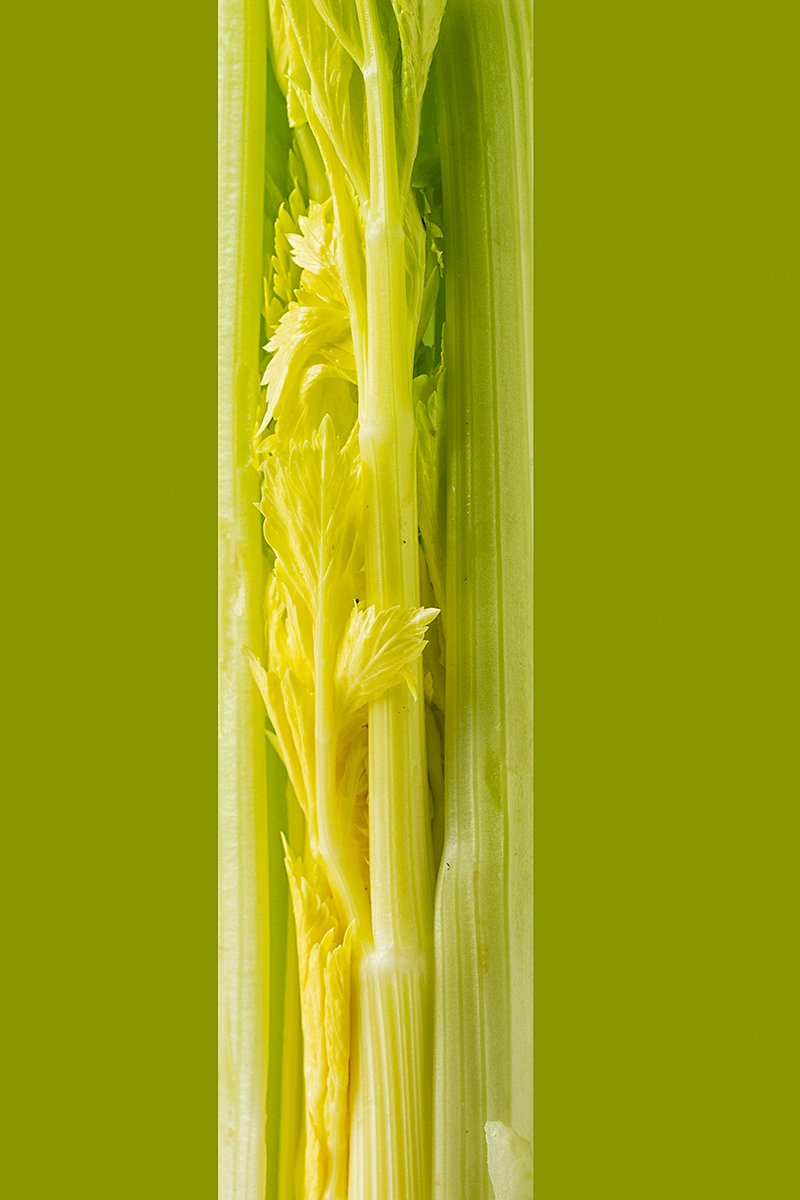 Celery green