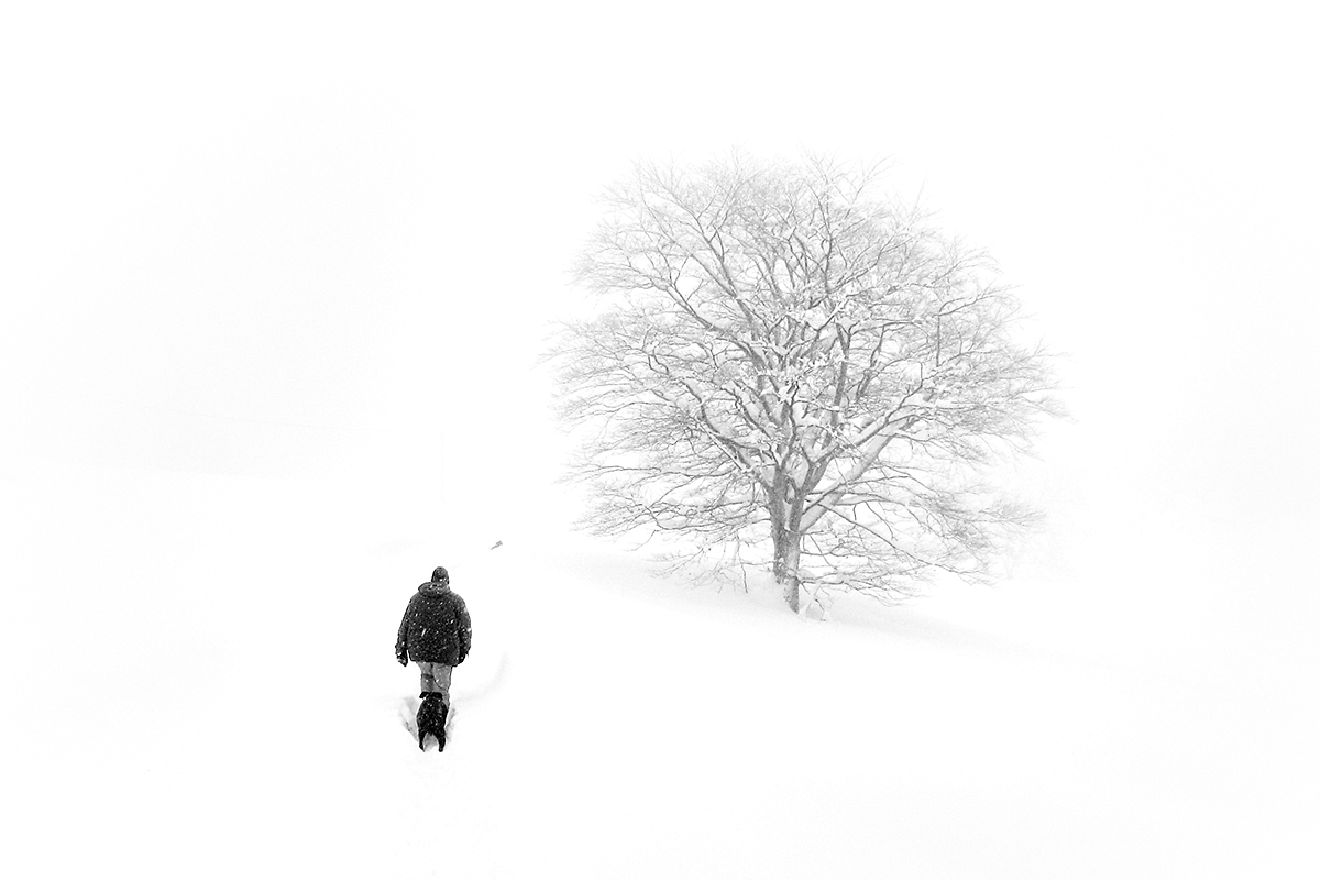 Week 3 - A white world in 2006