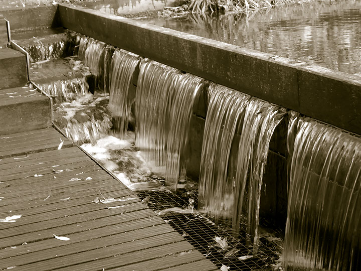 Nov 9 - In the park