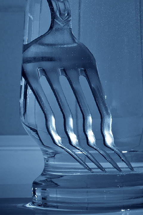 Nov 27 - Fork