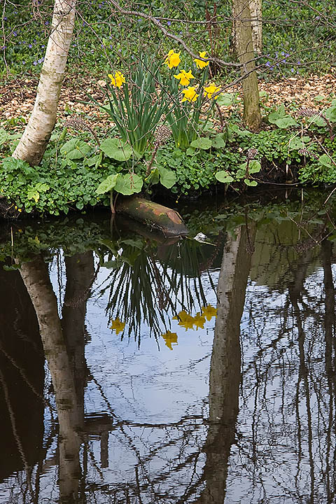 Reflection