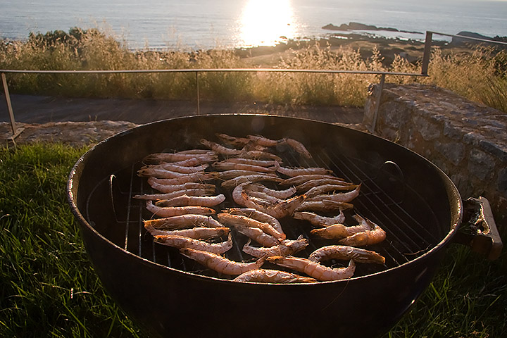 Day 28 - Shrimps with a view