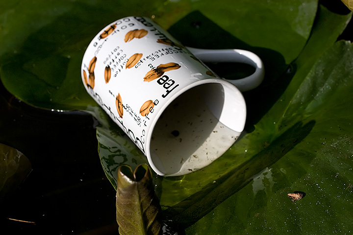 Day 20 - Cup in pond