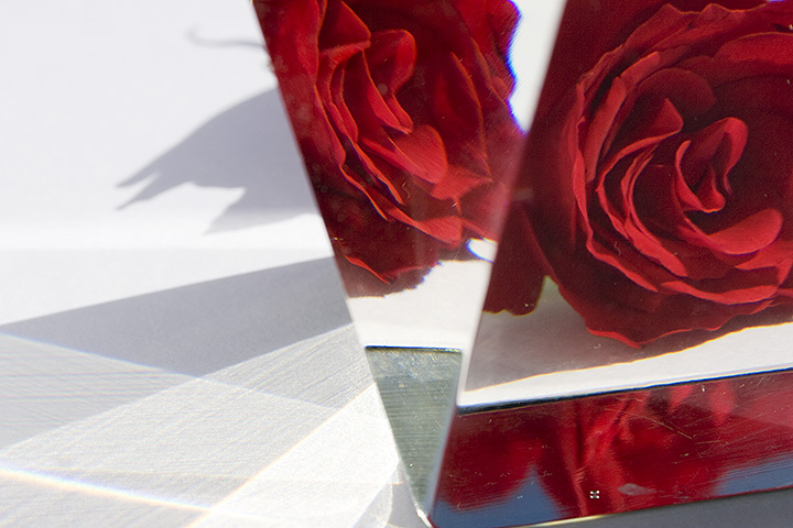 Day 19 - Rose behind vase