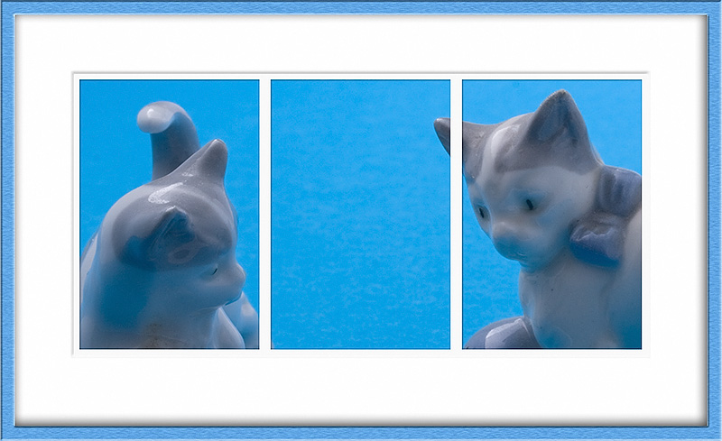 Feb 19 - Cats in blue
