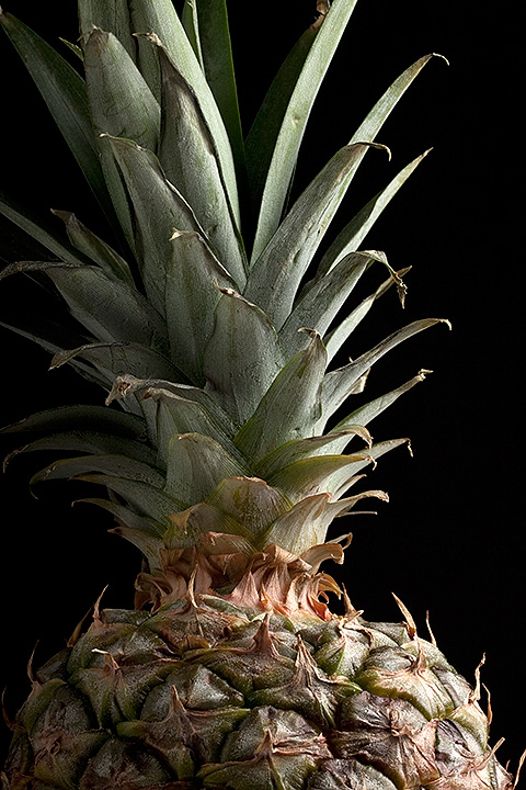April 10 - Pineapple
