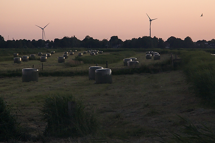 June 23 - Evening
