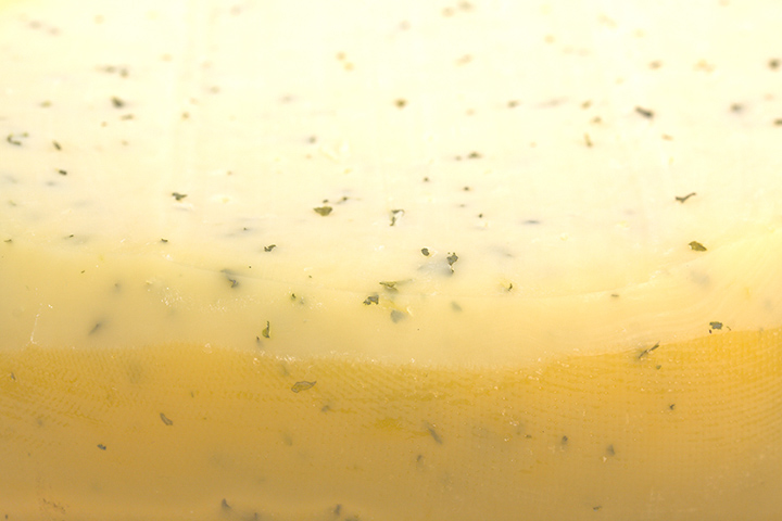 Sep 24 - Fries cheese with herbs