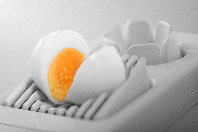 Nov 16 - Egg
