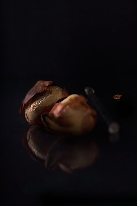 Nov 24 - Tulip bulbs