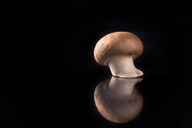 Jan 02 - Agaricus bisporus