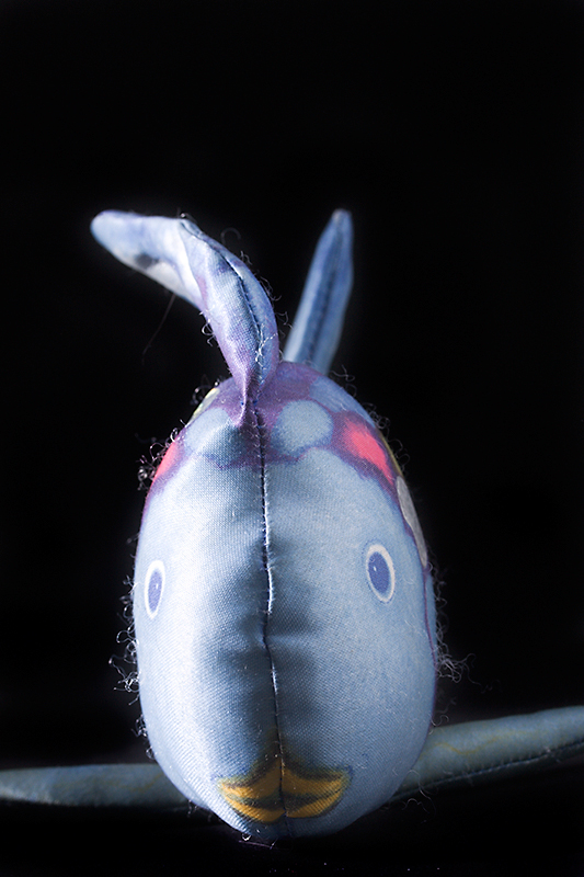 Feb 22 - Hairy fish