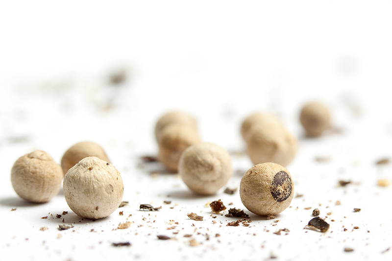 Jun 04 - White pepper