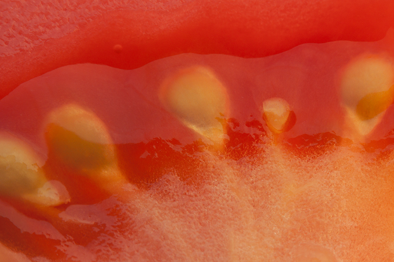 Jun 10 - Tomato