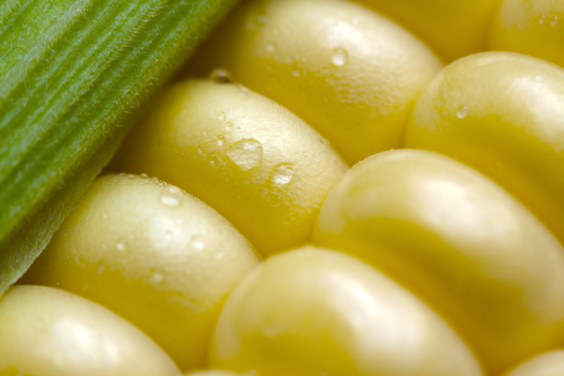 Food 26 - Sweet corn