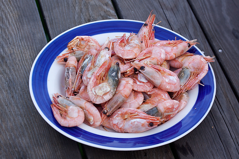 Food 33 - Shrimps