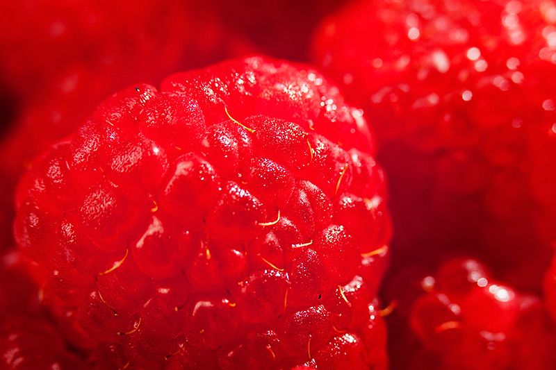 Jan 07 - Raspberry red