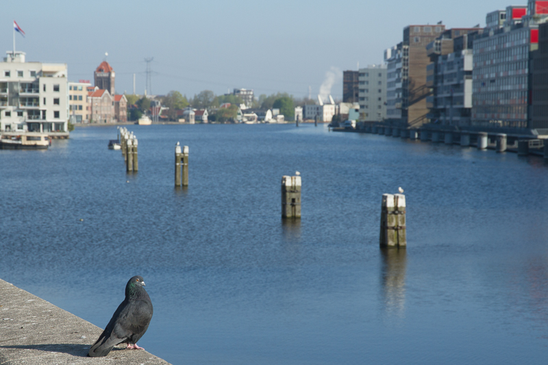 Zaandam_06