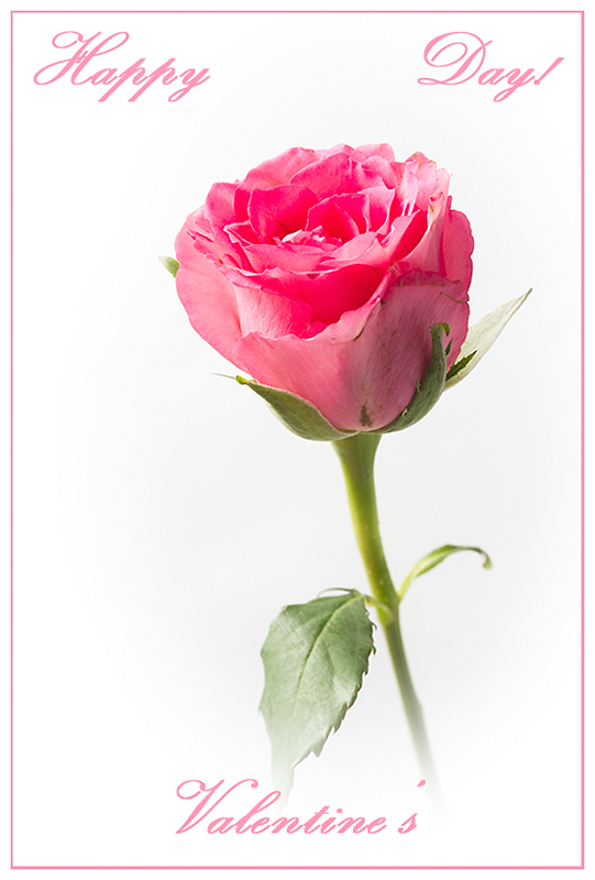 Feb 14 - Happy Day!