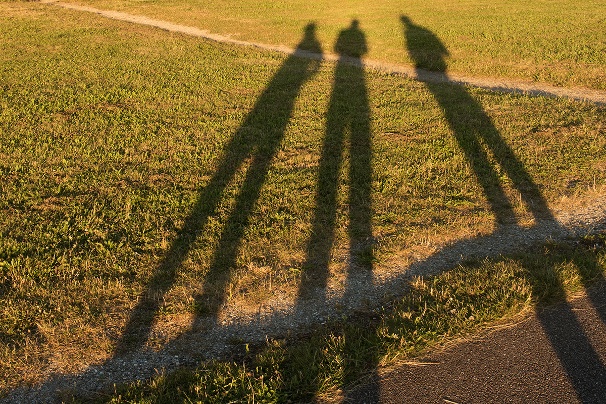 Shadows