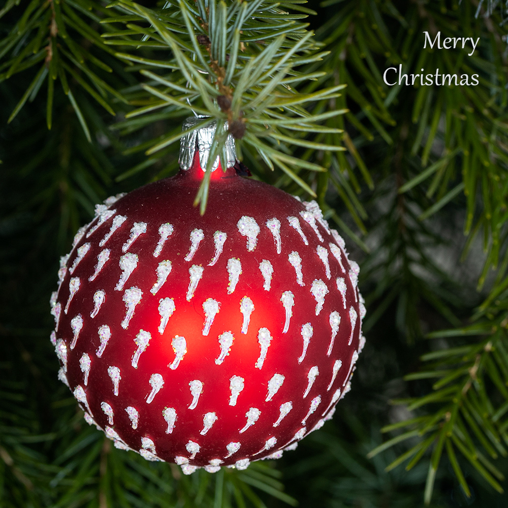 Merry Christmas