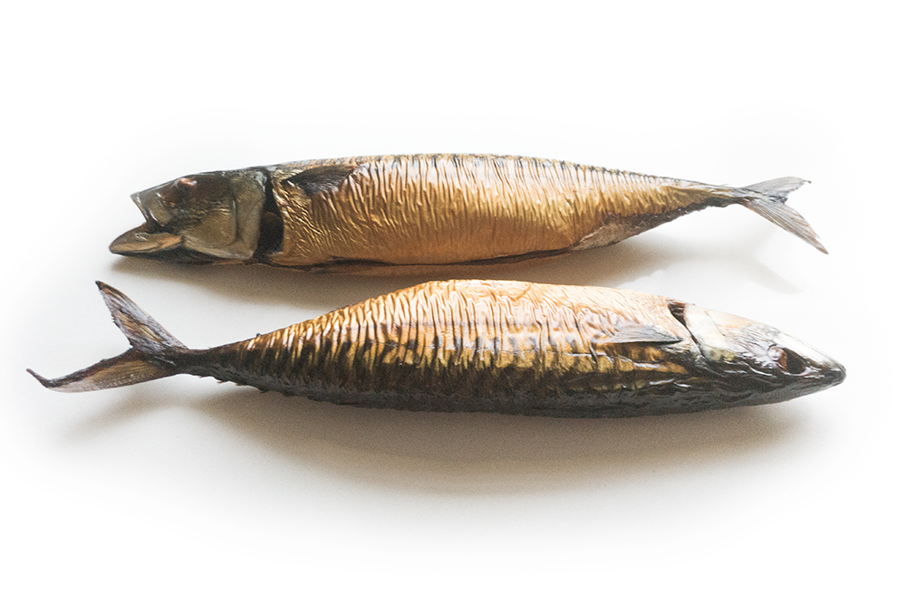 Aug 03 - Fishy