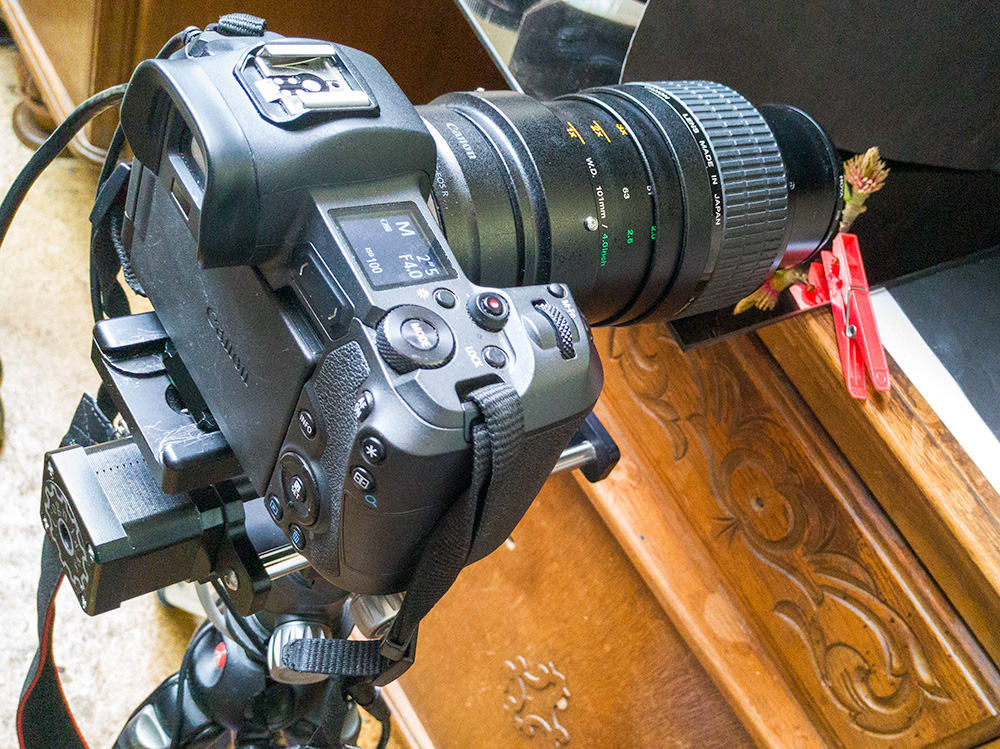 setup
