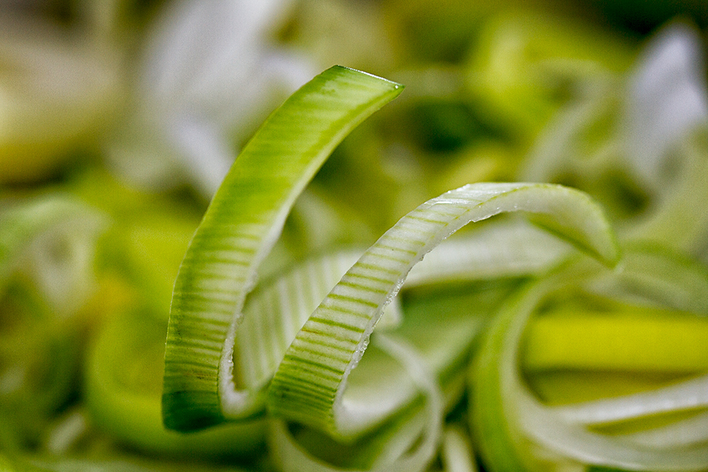 Leek