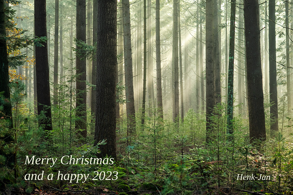 Merry Christmas!