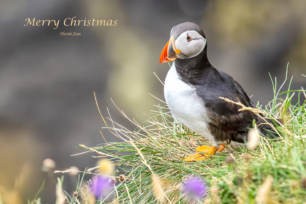 Christmas_2023
