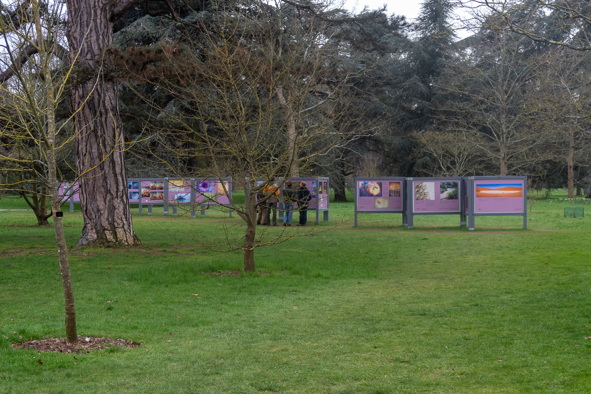 KewGardens_001