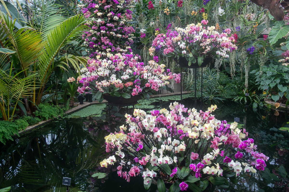 KewGardens_013