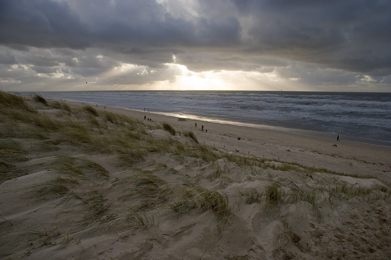 Windy beach
