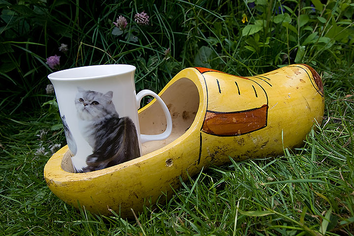 Day 07 - Cup in wooden shoe