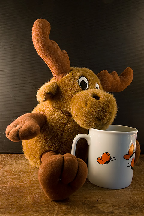 Day 18 - Cup and moose