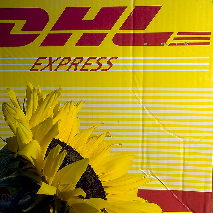 Day 07 - Yellow and red