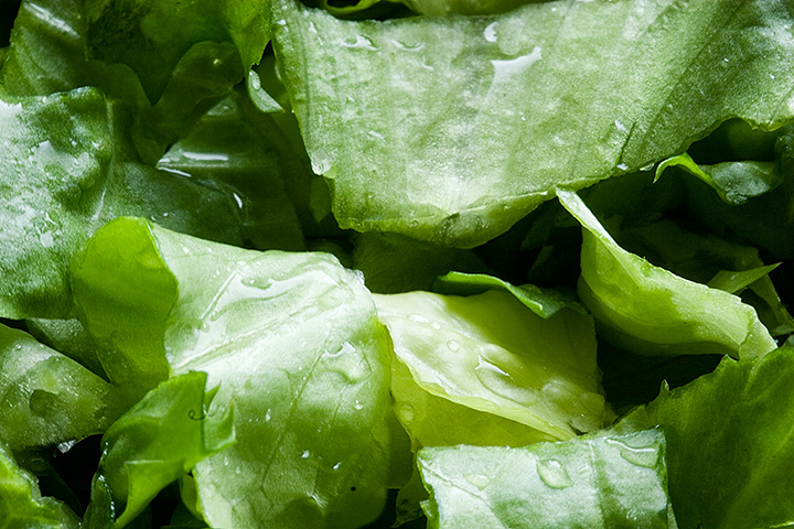 Endive
