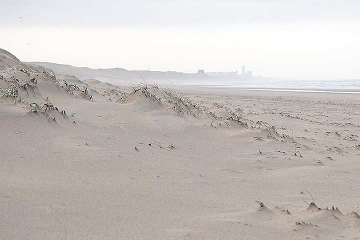 Day 024 - On the beach