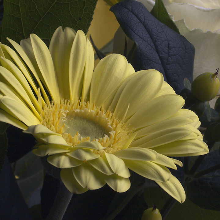 May 30 - Yellow bouquet 