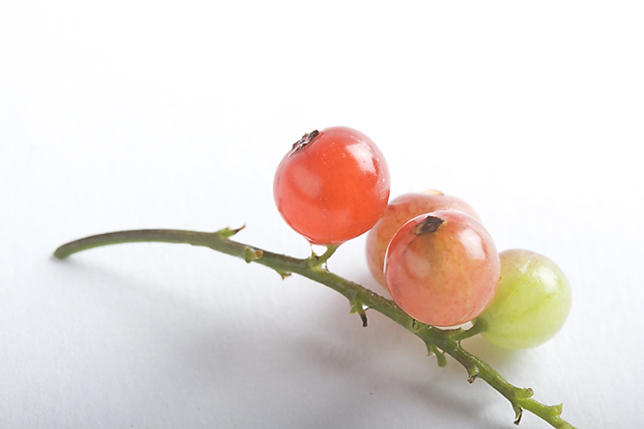 June 28 - Red currants