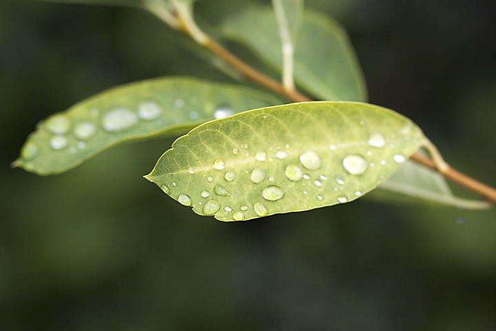 Jul 05 - After the rain